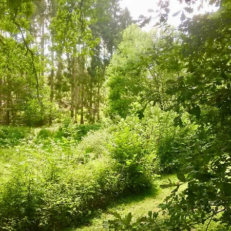 Comfort-apartment דירה *