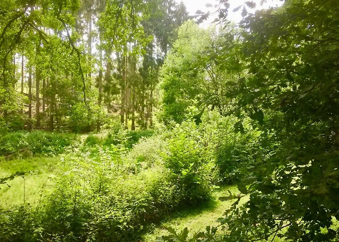 Comfort-apartment Apartmán *